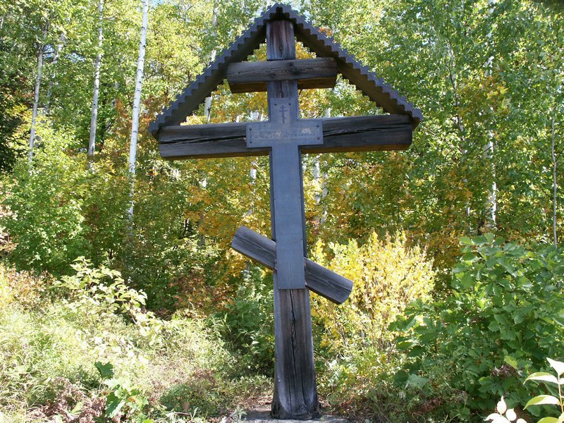 15.JPG